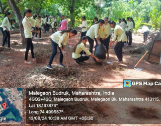 Cleanliness drive carried out under Green City, Clean City Programme 